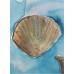Seashells — Original Watercolor Painting by Marina Stognieva | Crimea